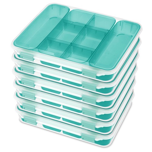 Sterilite divided case - sterilite,