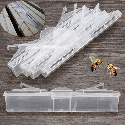 6pcs small bee hive - small,